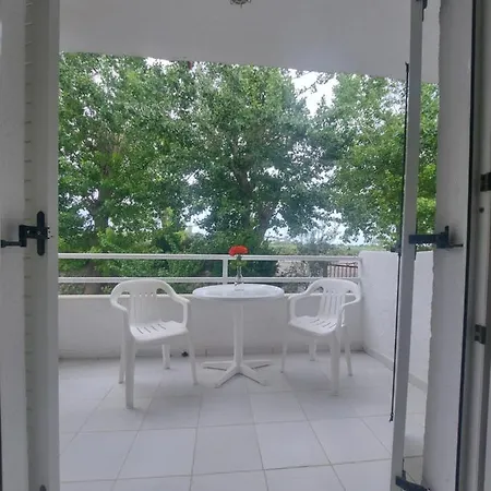 Betahomes- Summer