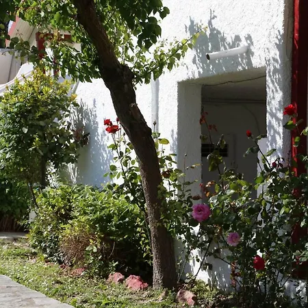 Aparthotel Betahomes- Summer
