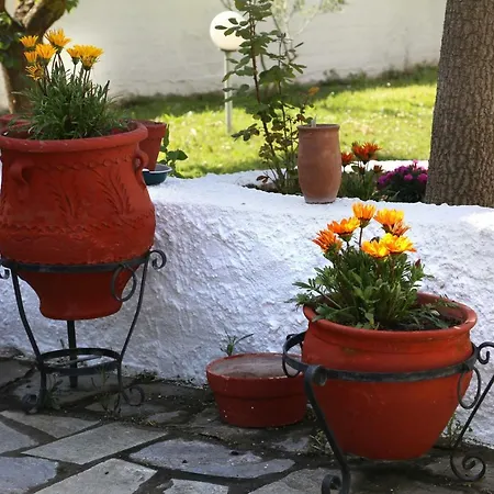 Aparthotel Betahomes- Summer *